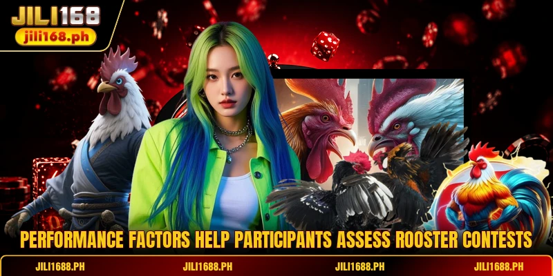 Performance factors help participants assess rooster contests